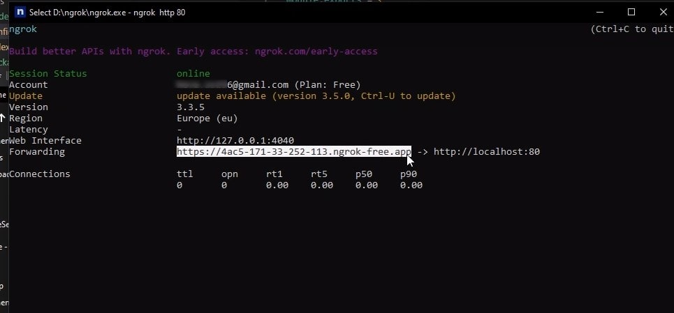 Ngrok example